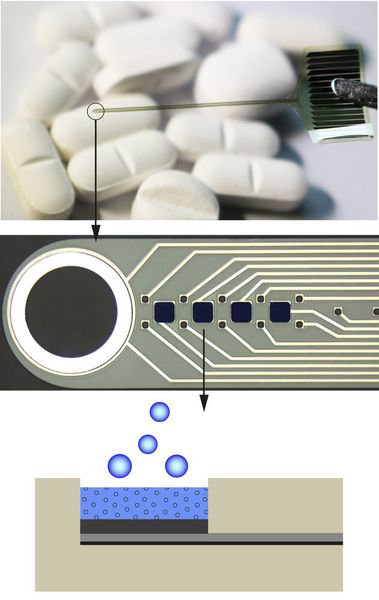 Medikamente im dreidimensionalen Netzwerk eines Polymers einlagern: Der mittlere Teil der Abbildung zeigt eine vergrößerte Aufnahme der Mikrosonde. Unten: Querschnitt der Polymer-Beschichtung, in die ein entzündungshemmendes Medikament eingespeichert ist. (Christian Böhler, Maria Asplund / Universität Freiburg)