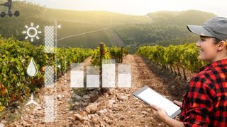 KI könnte in der Landwirtschaft dabei unterstützen, nachhaltiger zu arbeiten. (Bild: Adobe Stock)