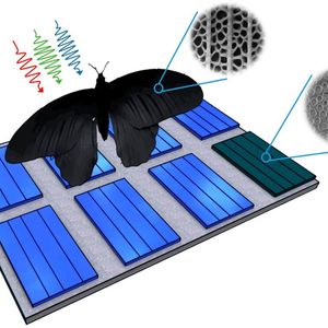 (KIT/Radwanul Hasan Siddique, Caltech)