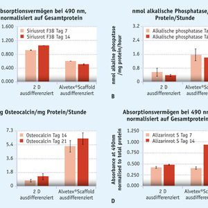 Abb. 2: Das Zellwachstum in Alvetex-Scaffold verbessert die osteogene Differenzierung der MSCs von Ratten im Vergleich zu einer konventionellen 2D-Kultur.