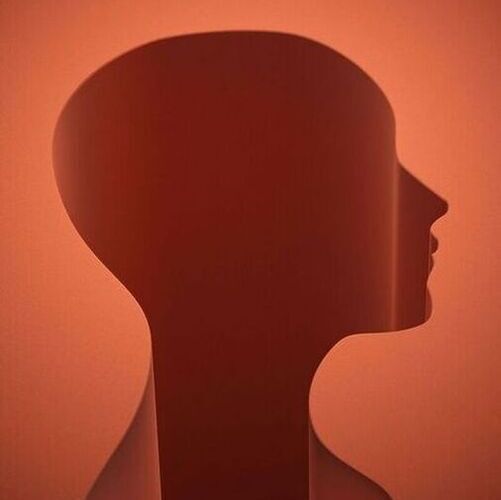 In the new study, the scientists examined young and old male and female mice, with or without loss of brain estrogen, which allowed them to pinpoint the effects specifically relevant to older females.(Source:  愚木混株 Yumu on Unsplash)