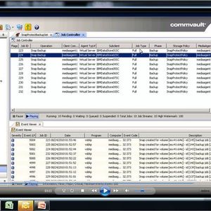 Der Bereich SnapProtect in Simpana 9