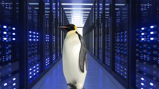 IBM Kaiserpinguin (Canva)