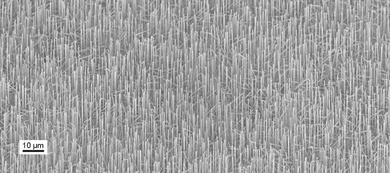 Mikroskop-Aufnahme der Nanodrähte (Bild: WSI/TUM)