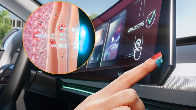 Durch Fingerauflegen wird der Blutalkoholwert präzise ermittelt.(Bild:  Aumovio)