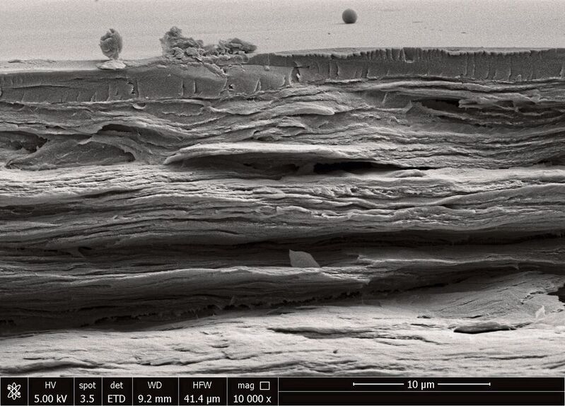 Rasterelektronenmikroskop-Aufnahme des Polymerfilms aus nanofibrillierter Cellulose und Gelatine. Die obere, ca. 1,5 µm dicke Schicht ist die Schutzschicht aus Schellack.