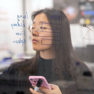 Empa researcher Jimeng Wu has created an alternative to animal testing with a virtual mouse: the AI-supported mouse can calculate which nanoparticles reach the lungs, kidneys, liver, and spleen of a mouse and where they accumulate. (Image: Empa)
