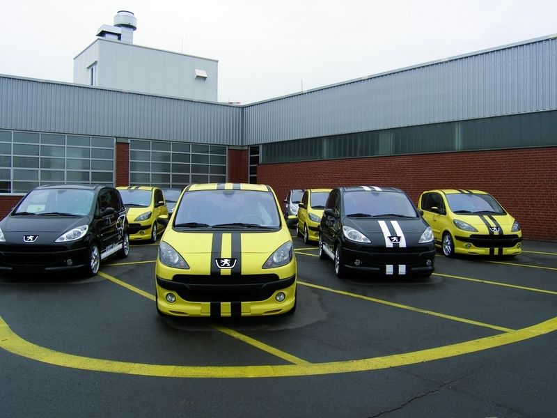 Was die Etziner alles können, haben sie anhand dieser attraktiven Peugeot 1007 unter Beweis gestellt. (Archiv: Vogel Business Media)