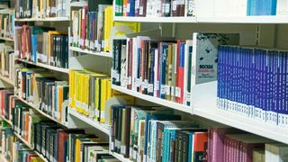 Blick in eine typische Unversitätsbibliothek: Auch ergebnislose Studien bringen die Wissenschaft weiter. Zu diesem Schluss kommt eine Studie des Bundesisnstituts für Risikoforschung. (Anton Gvozdikov)