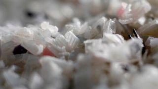 At the upcoming Drink Japan fair which will be held at Makuhari Messe in Tokyo from December 3-5, 2025, Sacmi will present an integrated, digital production line for caps and preforms.  (Source: Sacmi )