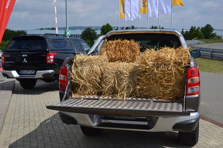 Dennoch bleiben die „Lifestyle-Laster“ in der Unterzahl, schließlich werden Pick-ups überwiegend gewerblich genutzt. (Foto: Michel)