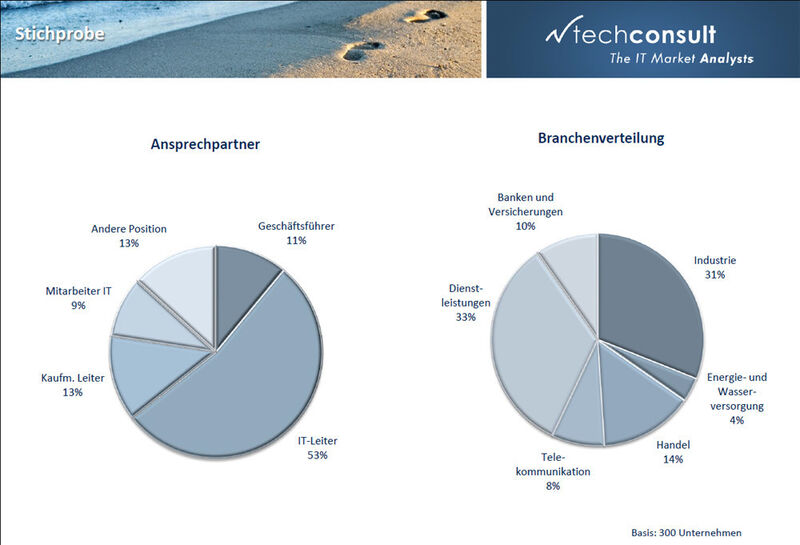Abbildung 2:  Die Branchenverteilung für die Studie 
