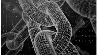 Der VDMA gründet mit neun Unternehmensvertretern ein neues Gremium, dass sich in Zukunft zum adäquaten Einsatz von Blockchain-Technik austauschen wird. (Bild: St. Gneier)