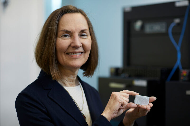 Chemieingenieurin Esther Sans Takeuchi hat Kompaktbatterien erfunden, die winzige, implantierbare Kardioverter-Defibrillatoren (ICDs) mit Energie versorgen. (EPO)