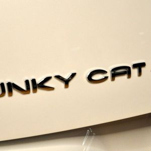 Es wird auch eine GT-Version des Funky Cat geben.(Bild:  Wehner/Vogel Communication Group)