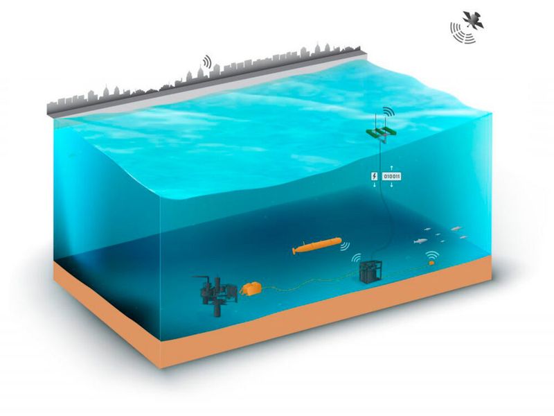 Bild 3: SeaRAY nutzt den BCM-Buskonverter mit festem Übersetzungsverhältnis sowie PRM-Reglermodule mit komplexen mehrstufigen diskreten Wandlern zur effizienten Umwandlung von Wellenenergie und zur Bereitstellung gesteuerter Leistung. Vicor entwickelte mit Hilfe der Leistungsmodule ein Stromversorgungsnetzwerk und verbesserte damit den SeaRAY-Wandlerwirkungsgrad von 50 auf über 90 Prozent.  (C-Power )