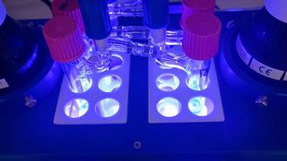 Für die Herstellung unsymmetrisch aufgebauter vizinaler Diamine nutzen die Chemiker blaues Licht. (Bild: WWU - AG Glorius)