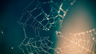 CoverNTT291021 (VIT)