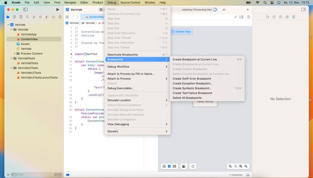Debugging und Troubleshooting in Xcode