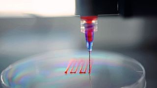 Mit einem neuentwickelten 3D-Drucker lassen sich klassische Polymere, aber auch Biotinten mit Zellen zu komplexen Strukturen verarbeiten. (Jonas Neugebauer)