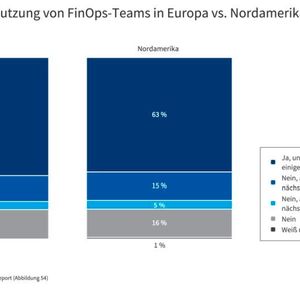 Europa hat in Sachen FinOps aufgeholt und entsprechende Teams etabliert.(Bild:  Flexera)