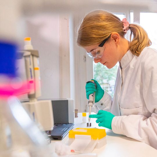 Der neue Studiengang Lebensmittelsicherheit verbindet interdisziplinär die Bereiche Analytik, Technologie, Qualität und Recht.(Bild:  © Hochschule Geisenheim / Filmagentur Rheingau)