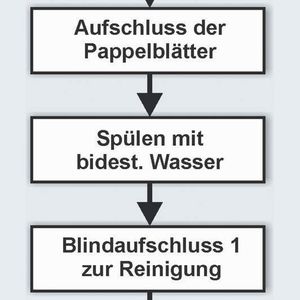 Flussdiagramm der Versuchsdurchführung