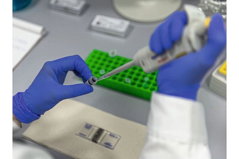 2a Vorbereitung für das Zählen der Zellen in einer Zählkammer (Trypanblau-Färbung) (Bild: Carl ZEISS Microscopy)