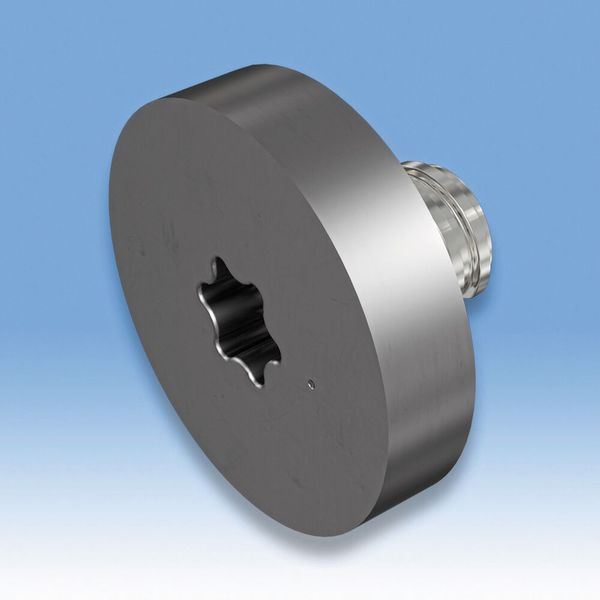 Ein scheibenförmiger Rohlingskopf mit Multi-Master-Adaption erweitert die Möglichkeiten des Kunden, massgeschneiderte Fräsformen herzustellen. (Bild: Iscar)