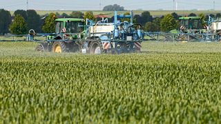 Experten fordern eine neues Zulassungsverfahren für Pestizide. (André Künzelmann / UFZ)