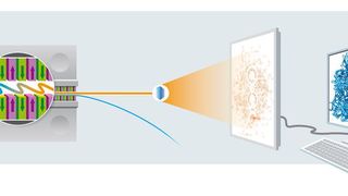 Prinzip der Röntgenkristallographie: Ein Elektronenstrahl (blau) erzeugt in der magnetischen Slalombahn eines sogenannten Undulators (links) einen Röntgenblitz (orange). Trifft dieser Blitz auf einen Proteinkristall, entsteht ein charakteristisches Beugungsbild auf dem Detektor, aus dem sich die räumliche Struktur des betreffenden Proteins am Computer berechnen lässt.  (DESY, Cyprian Lothringer)