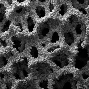 Der patentierte, stabile Produktionsprozess, in dem Nickel- oder Eisen-Metallschäume mit anwendungsoptimiertem, hochlegiertem Metallpulver beschichtet und somit zu Legierungsschäumen umgewandelt werden, führt zu einer deutlich vergrößerten Oberfläche.