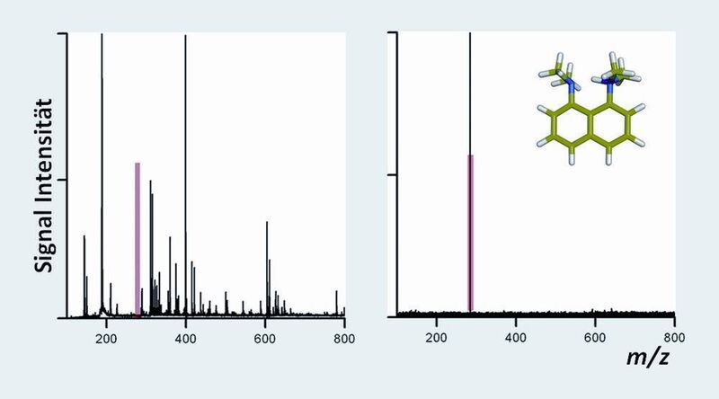 2	 Der Nachweis von Stearinsäure mittels der konventionellen 2,5-Dihydroxybenzosäure (links) und mittels des neuen Protonschwammes 1,8-bis(dimethylamino)naphtalen (proton sponge, rechts). Der Stearat Anion ist rot markiert. (Archiv: Vogel Business Media)