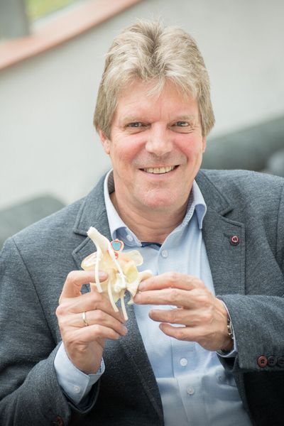 Prof. Hans-Joachim Wilke mit einem Wirbelknochenmodell mit Bandscheibe aus Kunststoff. (Elvira Eberhardt/Uni Ulm)