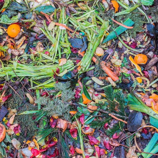 A new project in Denmark will develop a technology for extracting protein from organic waste. (Creative Commons)