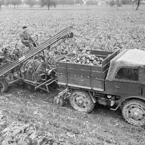 Der Unimog, das universelle Motorgerät, war vor allem für den Einsatz in der Landwirtschaft konzipiert. Hier feierte das von der Firma Gebr. Boehringer, einer Maschinenfabrik und Eisengießerei aus Göppingen, ursprünglich produzierte Fahrzeug seine ersten Erfolge.(Bild:  Daimler AG)