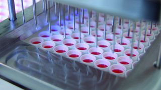 Die Kavitäten der Mikrotiterplatten müssen mit hoher Präzision befüllt werden.  (Bild: Optima)