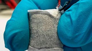 Der Prototyp der Brennstoffzelle ist in ein Vlies eingepackt und etwas grösser als ein Daumennagel. (Bild: Fussenegger Lab / ETH Zürich)