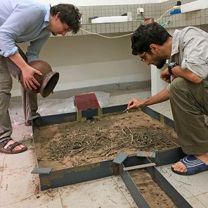 Erik Frank (rechts) und der frühere Bachelorstudent Florens Fischer erforschen das Verhalten der Matabele-Ameisen auch in künstlichen Nestern unter Laborbedingungen. (Bild:  privat)