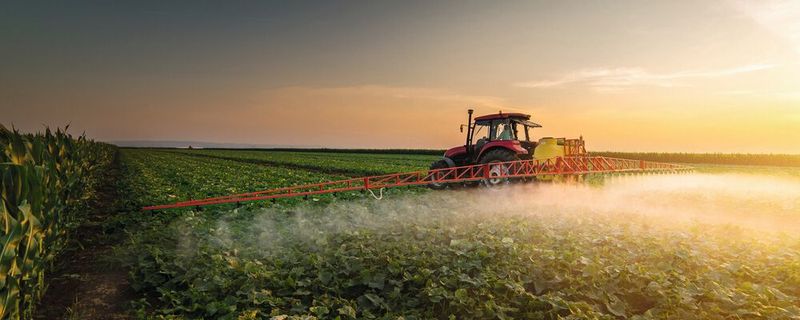 Pestizidrückstände sind in der klassischen Landwirtschaft nahezu unvermeidbar. Doch wie stark sind Lebensmittel in Deutschland belastet? Dies hat das Bundesamt für Verbraucherschutz und Lebensmittelsicherheit untersucht.(Bild:  Dusan Kostic - stock.adobe.com)