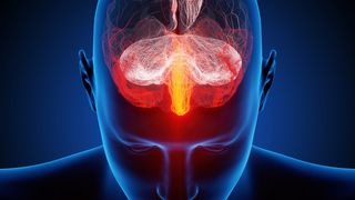 Bislang unbekannte Mutationen eines Kalium-Ionenkanal-Gens lösen bestimmte Formen frühkindlicher Epilepsien aus. (Johan Swanepoel/Fotolia.com)