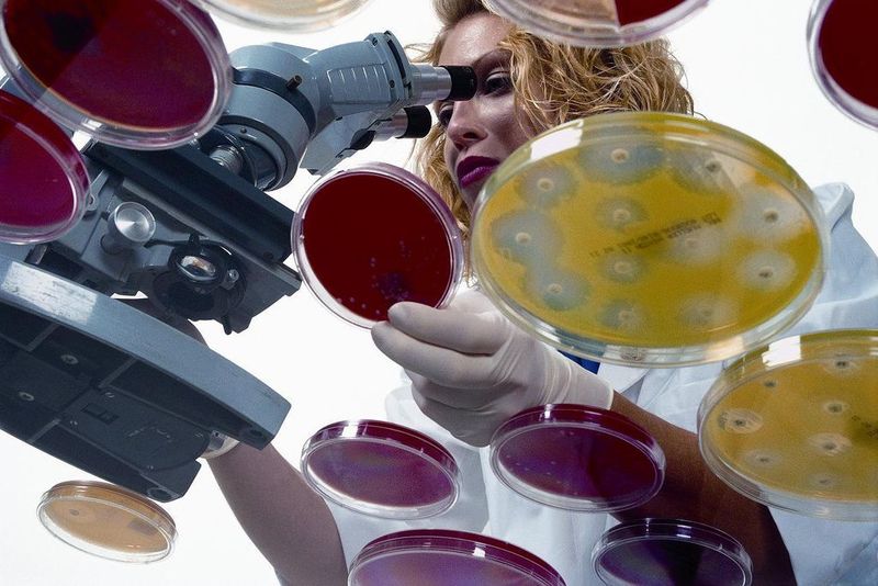Lasertechnik in der medizinischen Therapeutik and Diagnostik: Lasertechnik in der Mikroskopie.  (Bild: Messe München)