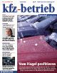 kfz-betrieb 08/2010 (Archiv: Vogel Business Media)