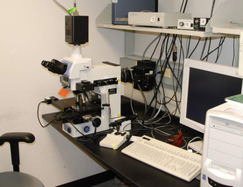In der biomedizinischen Forschung sind Lichtmikroskope unverzichtbar. Sie liefern dreidimensionale Bilder aus lebenden Zellen und ermöglichen die Beobachtung biochemischer Vorgänge auf zellulärer Ebene. (Archiv: Vogel Business Media)