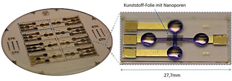 Abb. 4: Lab-on-Chip: 4 x 2 Array mit integrierten Nanoporen-Polymerfolien auf einem 4“-Substrat. Rechts: Erkennbar sind die Mess­elektroden aus Gold sowie die sich überkreuzenden Mikrokanäle. (TU Darmstadt)
