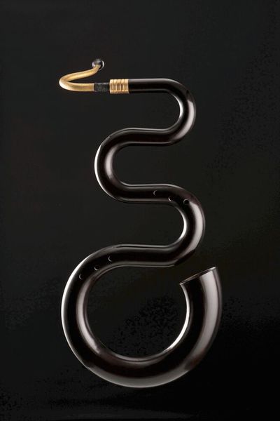 Empa-Forscher wollen Holzinstrumente wie dieses Serpentino mit Melanin vor mikrobiellen Schädigungen schützen (Bild: Xavier Voirol)