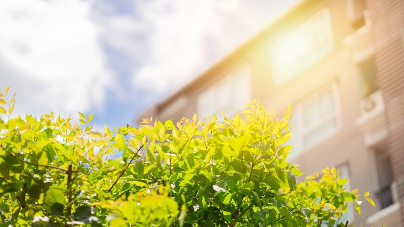 (Bild:  Quality Stock Arts/stock.adobe.com)