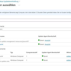 Auch das Patchmanagement wird in Microsoft-Netzwerken hybrider. Das passt optimal zur Lizenzierung.(Bild:  Joos | Microsoft)