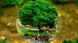 Jeder Besucher des VMware Briefing Center bekommt hierzulande Samen und Erde sowie ein Zertifikat über einen Baum, der in Nicaragua gepflanzt wird.  (ejaugsburg auf Pixabay)