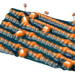 Sauerstoffmoleküle (O2) auf einer Oberfläche(Bild:  TU Wien)